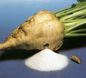 beet.jpg