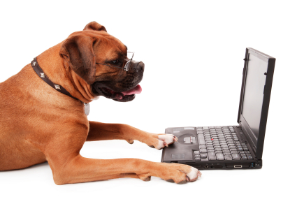 iStock_000004084432XSmall.jpg